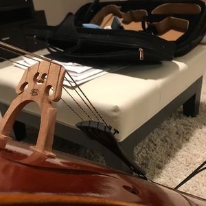 Meet your Posher, Taya